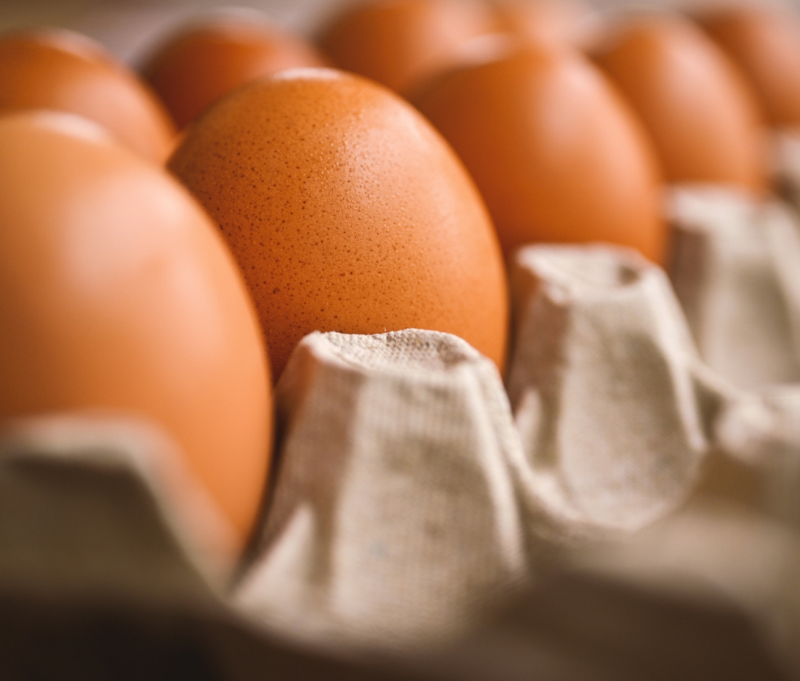 gourmet grocer cassidy eggs 10