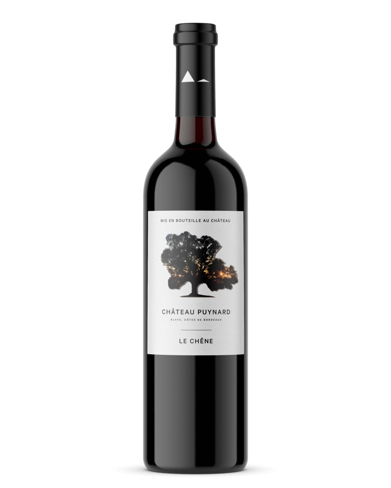 chateau puynard